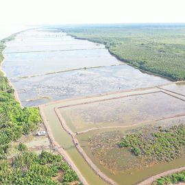 aerial photo of a shrimp farm.