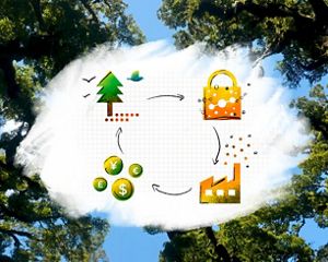 An illustration of four stages of a carbon offsets cycle on a white paint swatch over a photo of trees against the sky.