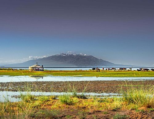 A yurt sits on the shore of a large lake where cattle graze nearby. A mountain rises in the background.