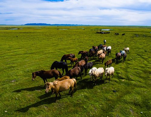 Mountains in the Khentii province of eastern Mongolia.