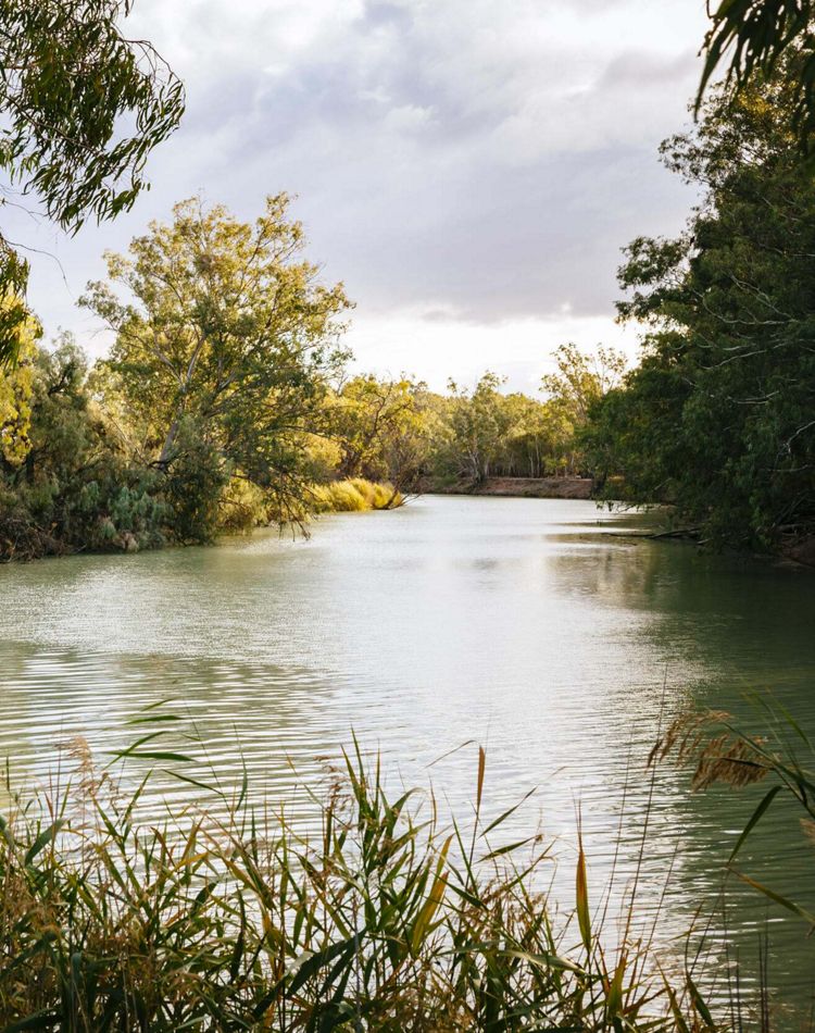 A view of a river from the grassy bank.