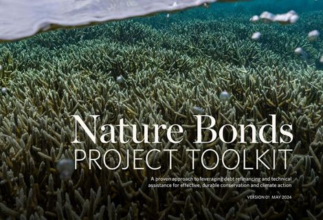 Nature Bonds Toolkit cover.
