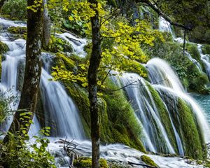 Waterfall cascading through a lush forest in Croatia.