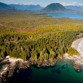 forests of evergreen trees.