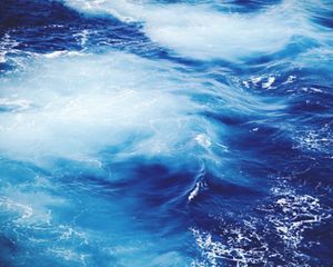 Waves in the Caribbean