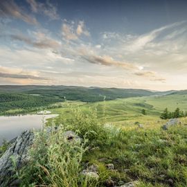 peatland area in Mongolia.