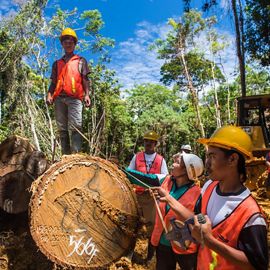 foresters measuring a log.