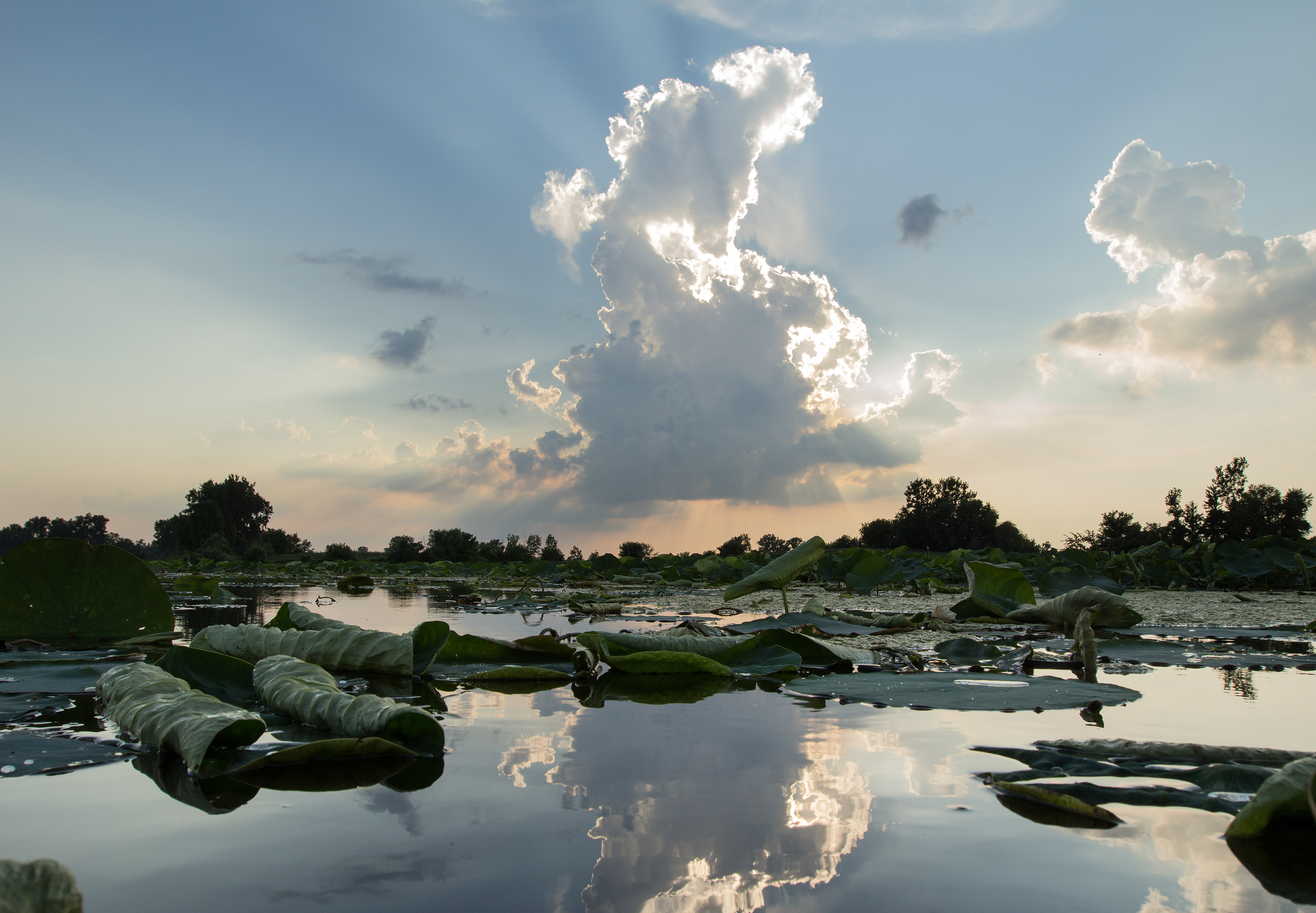 Sunbrust behind white clouds over a body of water. 